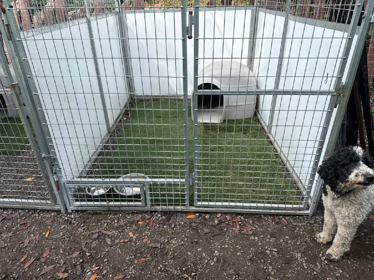 Spacious kennel at Harbor Kennels